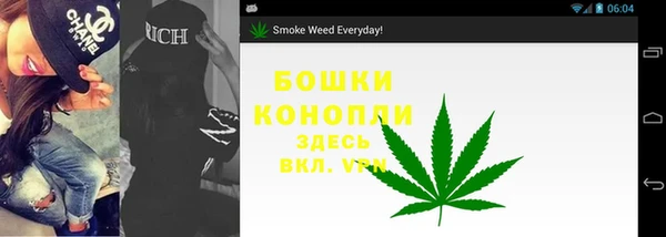 гидропоника Карталы