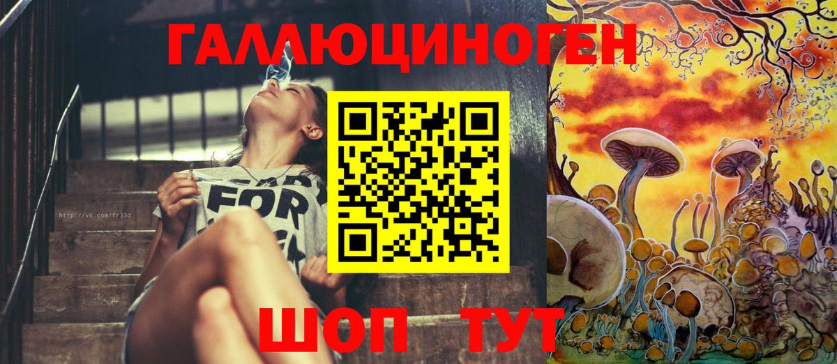 Псилоцибиновые грибы мицелий Киреевск